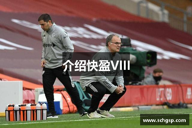 介绍快盈VIII